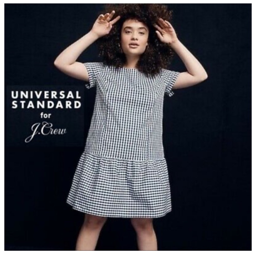 J. CREW Universal Standard Gingham Poplin Dress